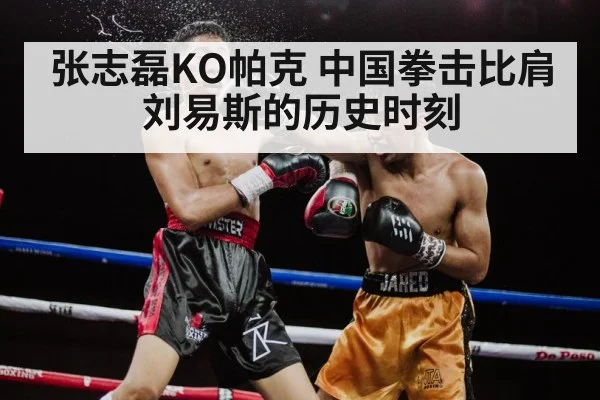 张志磊KO帕克 中国拳击比肩刘易斯的历史时刻